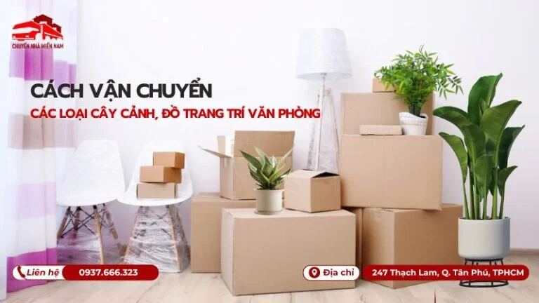 Cách vận chuyển các loại cây cảnh đồ trang trí
