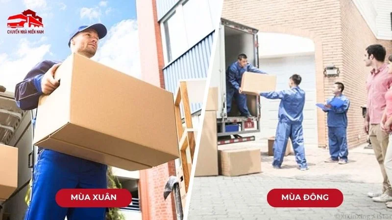 Kubet vào mùa xuân và mùa thu