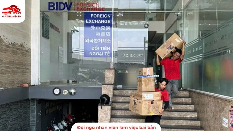 Đội ngũ nhân viên làm việc bài bản