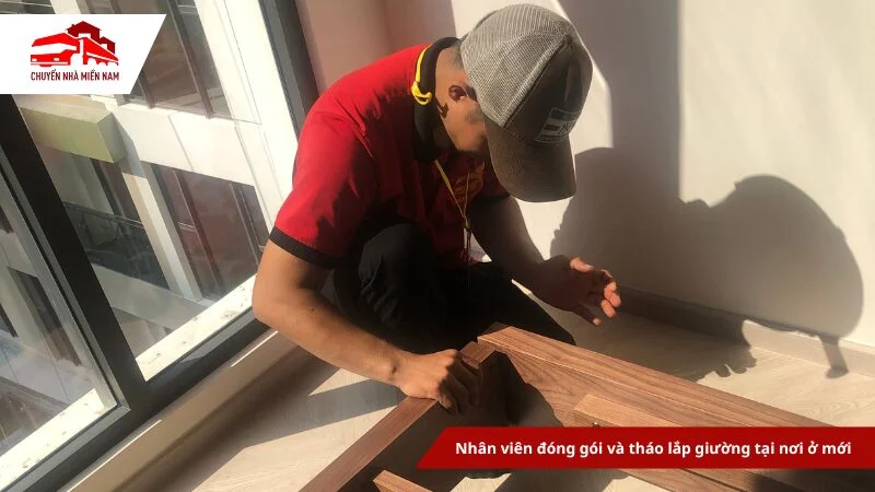 Đóng gói và lắp ráp giường chuyên nghiệp