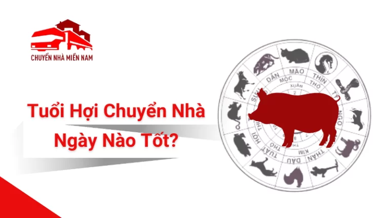 Tuổi Hợi Kubet Ngày Nào Tốt?