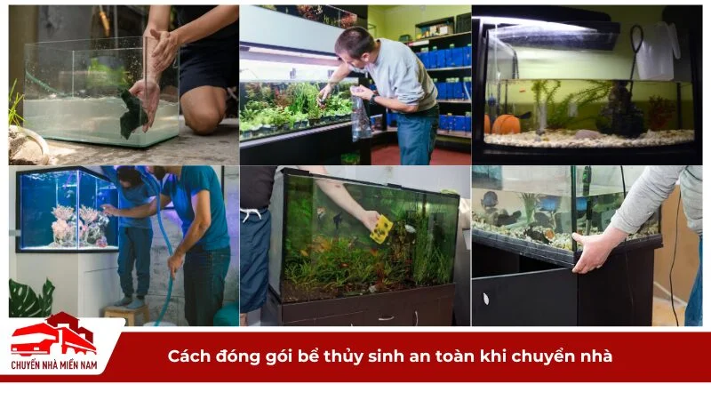 Cách đóng gói bể thủy sinh an toàn khi Kubet