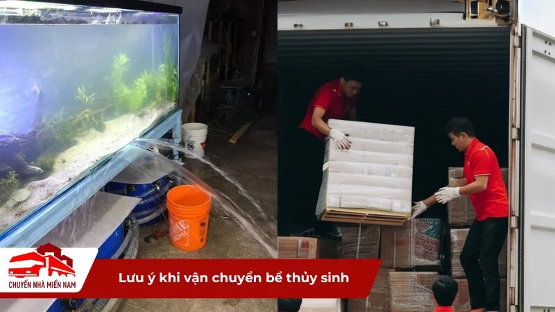 Lưu ý khi vận chuyển bể thủy sinh