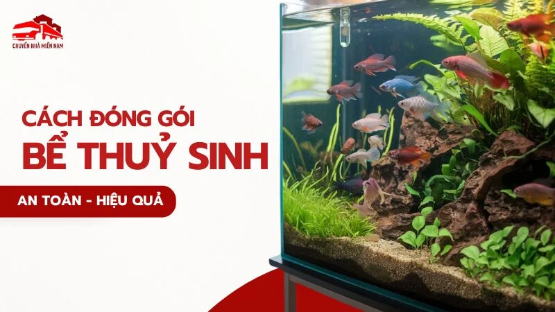 cách đóng gói bể thuỷ sinh