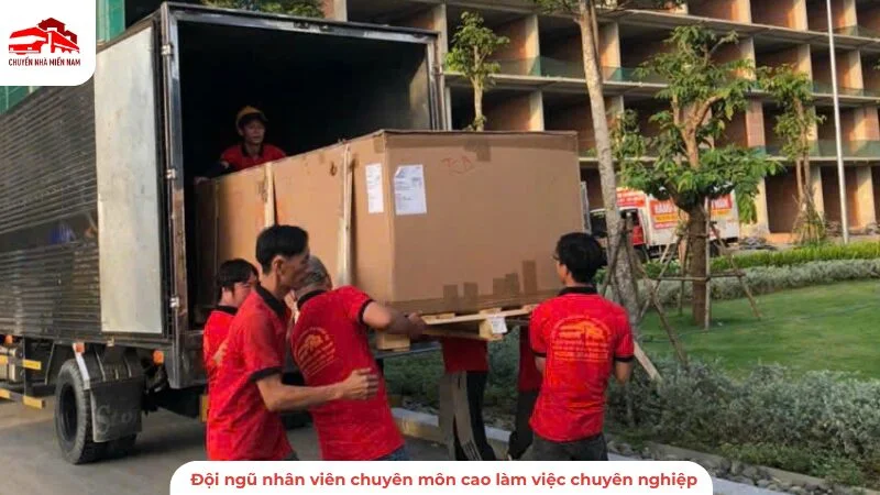 Đội ngũ nhân viên chuyên môn cao làm việc chuyên nghiệp