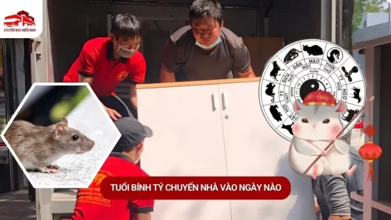 Tuổi Bính Tý Kubet vào ngày nào
