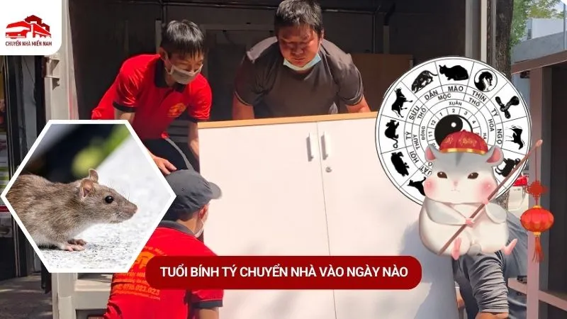Tuổi Bính Tý Kubet vào ngày nào