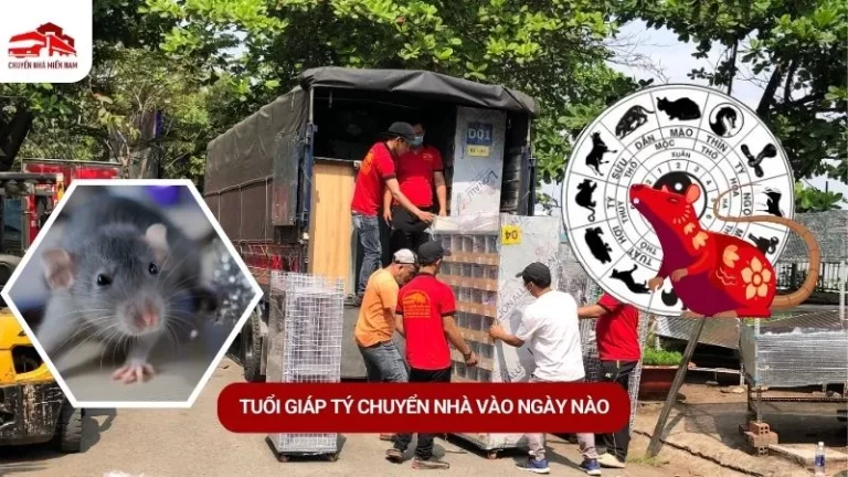 tuổi Giáp Tý Kubet vào ngày nào
