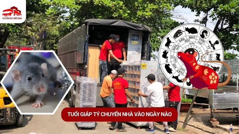 tuổi Giáp Tý Kubet vào ngày nào