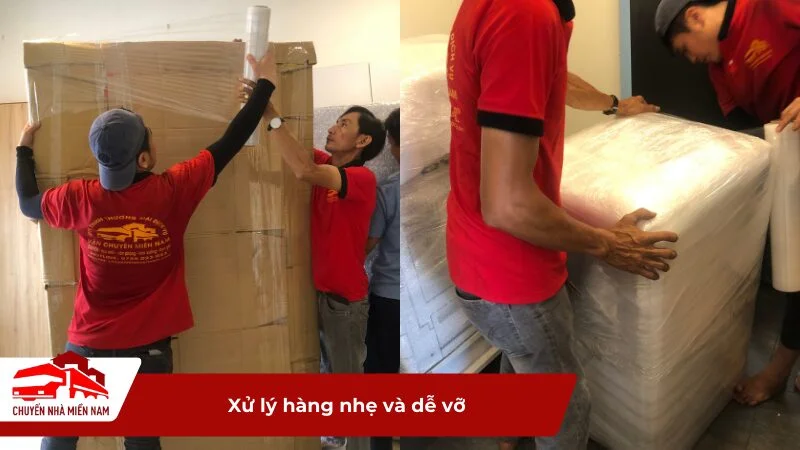 Phân loại xử lý hàng hoá nhẹ và dễ vỡ